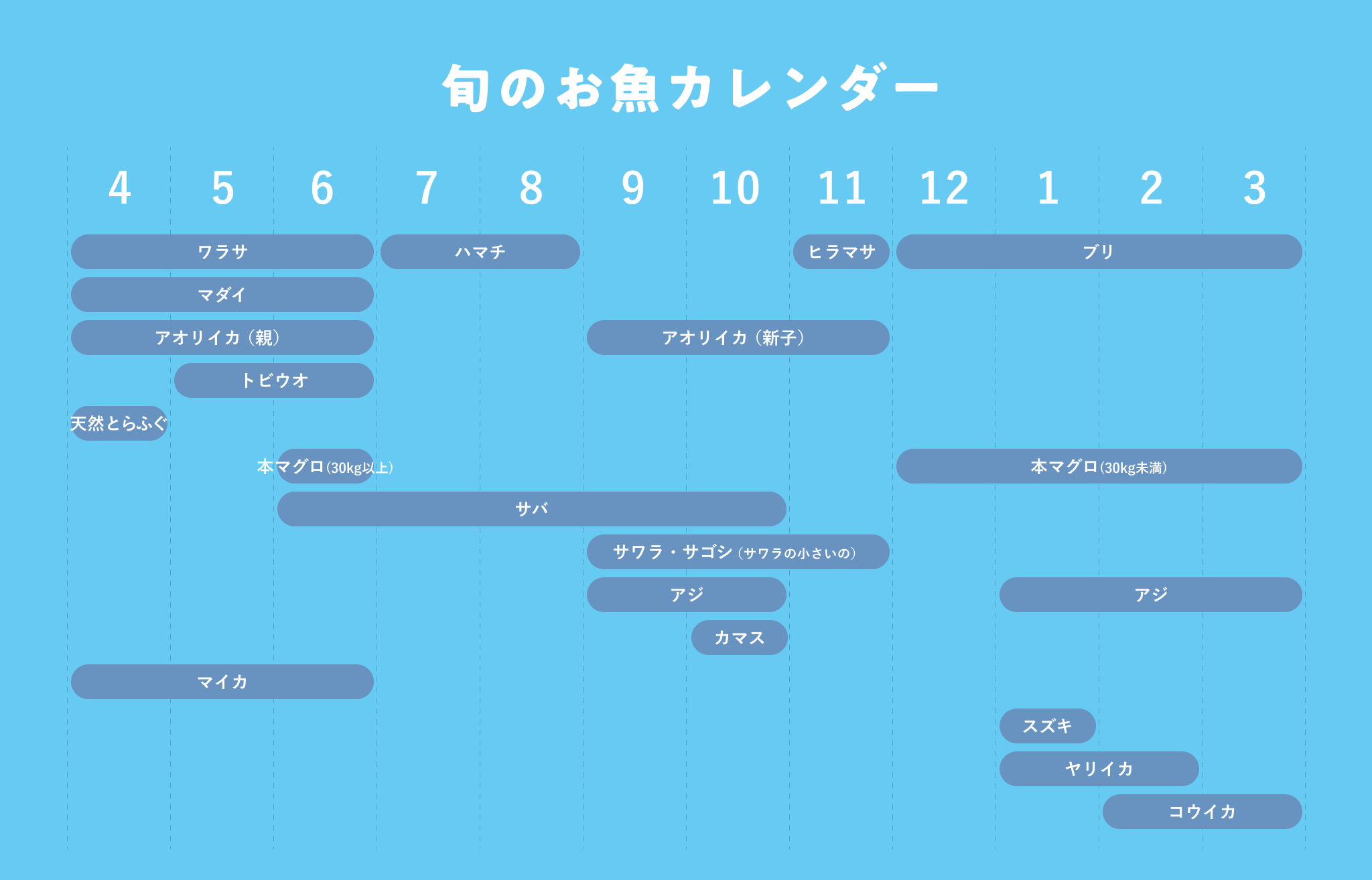 旬のお魚カレンダー/ワラサ・マダイ・アオリイカ(親)・マイカ 4〜6月、天然とらふぐ 4月、トビウオ 5〜6月、本マグロ(30kg以上)6月、サバ 6月〜10月、ハマチ 7〜8月、アオリイカ(新子)、サワラ・サゴシ(サワラの小さいの)9〜11月、アジ 9〜10月・1〜3月、カマス 10月、ヒラマサ(11月)、ブリ・本マグロ(30kg未満) 12〜3月、スズキ1月、ヤリイカ1〜2月、コウイカ2〜3月